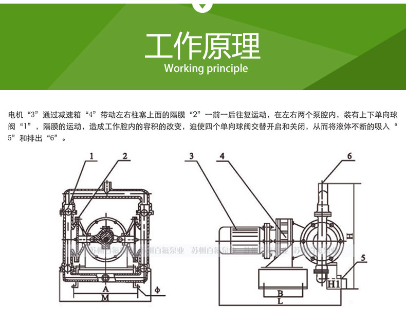 DBY型_電動(dòng)隔膜泵(圖3)